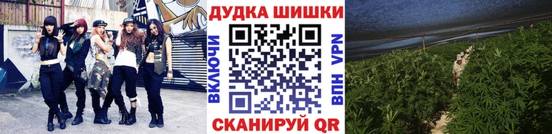 Сколько стоит Сокол Cocaine  Бутират  Канабис  Мефедрон 