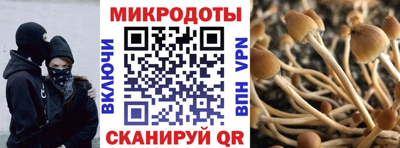 Псилоцибиновые грибы мухоморы  Сокол 